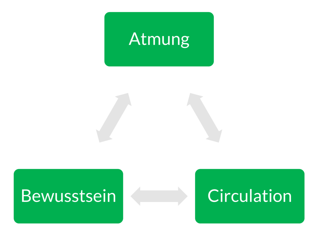 abc_atmung_bewusstsein_circulation